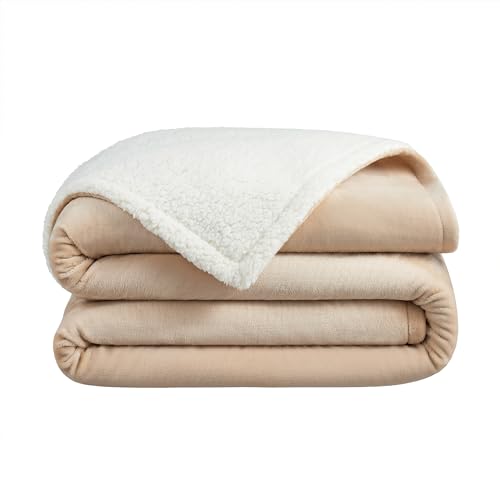 Arkwright Sherpa Fleece Throw Blanket - Plush Fluffy Warm Reversible Soft Sherpa Throw Blanket for Home, Couch, Sofa, Bed, Camping and Travel, 50x60 in, Tan - color: Irish Cream Tan, size: Throw (50x60) Pack of 1