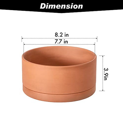 D'vine Dev Terracotta Shallow Planter Pot with Saucer, 8 in, 40-Y-A-0 | Wide Bowl Design, Unglazed Terracotta, Porous & Breathable, Minimalist Style, Ideal for Succulent Arrangements - size: 8 Inch