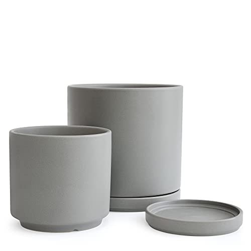 D'vine Dev 2-Pack Ceramic Pots with Saucers, 8/10 in, Grey, 94-G-L-3 | Glazed Ceramic, Drainage Hole, Perfect-Fit Saucer, Sleek Cylinder Shape, High Temperature Fired, Elegant Home Accent - color: Gray, size: Large