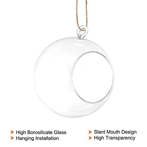 PATIKIL Round Globe Terrarium Air Plant Planter, 5.4 Inch High Borosilicate Glass Hanging Decorations for Succulent, Tillandsia, Clear - size: 5.4 Inch
