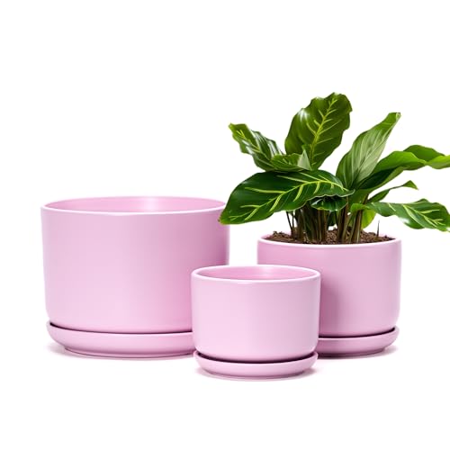 Plant Pots,Ceramic Planters with Drainage Holes&Saucer Set of 3(Matte Pink) | Ceramic Planters for Indoor Plants | Cute Plant Pots | Modern Succulent Pots | Decorative Garden Pots | 4+5+6.5 Inch Planters - color: Matte Pink