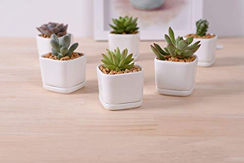 Mini 6 Set of 2x2x1.65inch Square Modern Minimalist White Ceramic Succulent mini Planter Pot/Window Box with Saucer (6, 2inch)