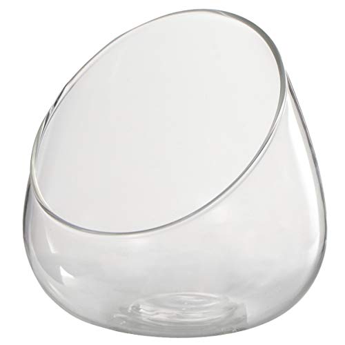 Cabilock Clear Slant Cut Bubble Bowl Glass Vase Bowl Round Globe Planter Terrarium Orb Candy Dish Fruit Jar Floral Container for Home Office Decor