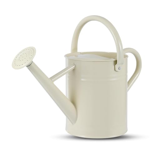 1 Gallon Watering Can for Plants, Watering Cans for Indoor&Outdoor Gardening, Galvanized Steel Watering Pot with Removable Spout, Metal Water Can with Ergonomic Movable Handle(White) - color: White