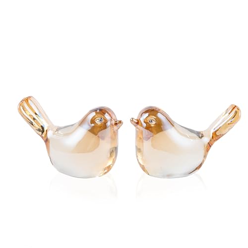 Qianwei 2pcs Champagne Glass Birds Figurine Summer Blown Crystal Home Decor | Crystal Small Handmade Bird Animal Collectible Figurines Office Desk Table Home Paperweight Decorations Cardinal Hummingbird - color: 2pcs Champagne