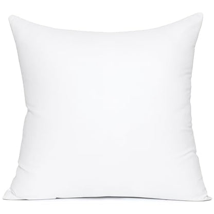 MIULEE 20x20 Pillow Insert, Premium Throw Pillow with Virgin Fiber Filling | Soft and Support, Durable Brushed Fabric, Decorative Pillow for Sofa Bed Couch - size: 20x20 Inch (Pack of 1)