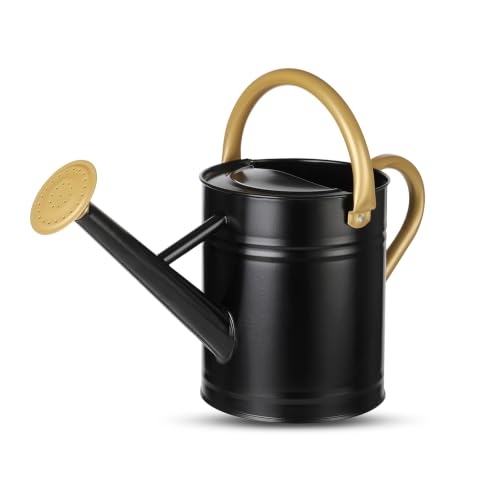 1 Gallon Watering Can for Plants, Watering Cans for Indoor&Outdoor Gardening, Galvanized Steel Watering Pot with Removable Spout, Metal Water Can with Ergonomic Movable Handle(Black) - color: Black-gold