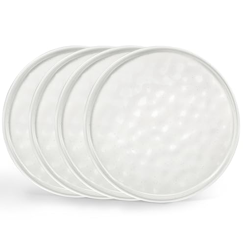 LIANYU Ceramic Plates Set for 4, 10.2In Porcelain Dinner Salad Appetizer Plates for Kitchen, Modern Round Stoneware Dining Dish Set, Scratch Resistant, Microwave, Oven and Dishwasher Safe, Polar White - color: Polar White, size: 10.2 Inch for 4