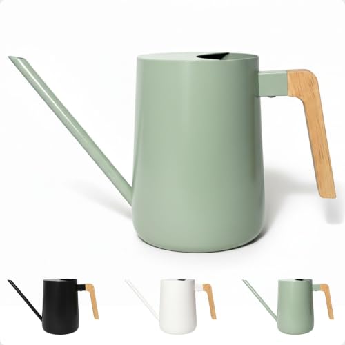 Metal Small Indoor Watering Can with Long Spout & Real Wood Handle, 35oz | Long Spout, Stainless Steel, Real Wood Handle, Gentle Flow, No Spills, Suitable for House Plants, Succulents & Seedlings - color: Sage Green