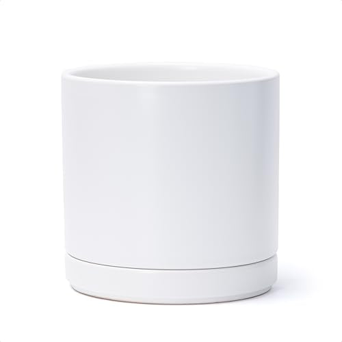 D'vine Dev 8.2 Inch Ceramic Planter Pot, White, 94-O-D-1 | Modern Cylinder Design, Drainage Hole & Saucer Included, Stable Structure, Elegant Home Accent - color: White, size: Medium