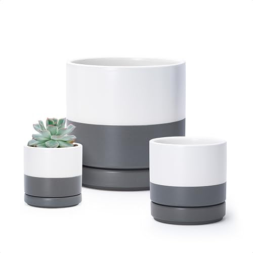 D'vine Dev 3-Pack Ceramic Pots with Saucers, 3/4/6 in, White/Grey, 94-T-S-6 | Glazed Ceramic, Drainage Hole, Perfect-Fit Saucer, Sleek Cylinder Shape, High Temperature Fired, Elegant Home Accent - color: White/Speckled Grey, size: 3"+4"+6"