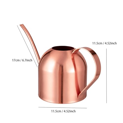 IMEEA 30oz Indoor Plant Watering Can Stainless Steel Long Spout, Rose Gold - color: 30oz (1l) - Rose Gold