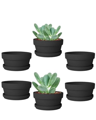 3.7 Inch Black Terracotta Shallow Succulent Pots - 6 Pack Terra Cotta Clay Pot with Saucer, Cacuts Indoor and Outdoor Planters with Drainage Hole - color: Black, size: 3.7 Inch