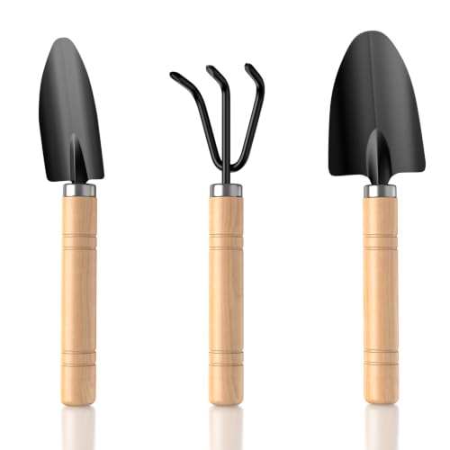 3 Pcs Mini Garden Tool Set with Small Trowel, Mini Shovel & Hand Rake | Iron Gardening Hand Tools with Wood Handle, Potting & Transplanting Tool Kit for Houseplants, Succulents, Herbs & Flowers - color: natural wood-3pcs