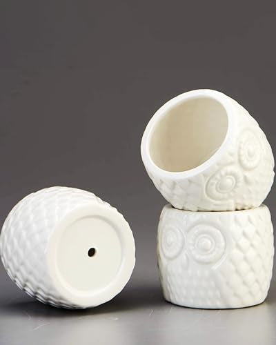 FLOWERPLUS Planter Pots Indoor, 3 Pack 3 Inch White Ceramic Decorative Small Owl Succulent Cactus Flower Plant Pot with Tree Tier Bamboo Stand for Garden Kitchen Home Office Desk Decorations