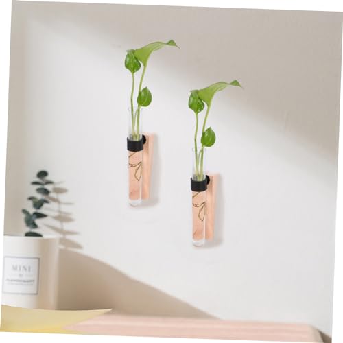 Flower Vase Set 2 Pieces Wall-Mounted Test Tube Plant Holders Air Plant Vase Easy to Assemble