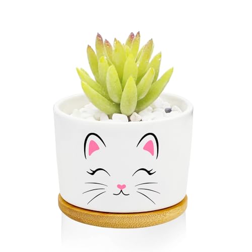 1Pcs Pink Cat Succulent Pots with Drainage and Bamboo Tray, Ceramic Pot | 3 Inch Small Planters for Plants,Cactus,Decoration for Office Home,Garden,Cat Gifts for Women Mom (No Plants Included) - style: Cat Pink