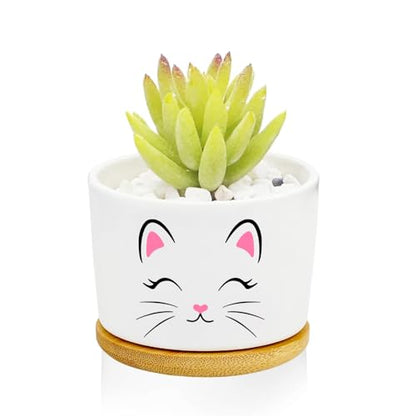 1Pcs Pink Cat Succulent Pots with Drainage and Bamboo Tray, Ceramic Pot | 3 Inch Small Planters for Plants,Cactus,Decoration for Office Home,Garden,Cat Gifts for Women Mom (No Plants Included) - style: Cat Pink