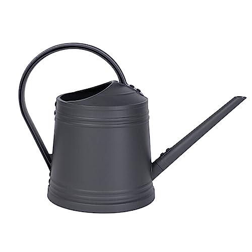 Plant Watering Can, 1 Gallon Decorative Lightweight Small Water Can for Plants with Long Spout and Handle,Durable Plastic Modern Indoor Watering Cans for House Plants for Gardening Succulents - color: Gray