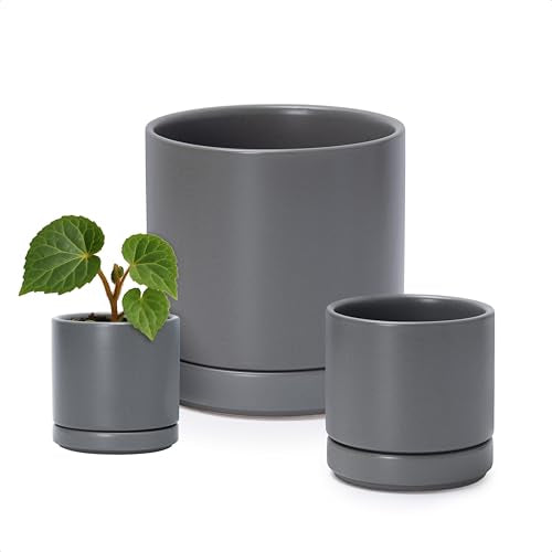D'vine Dev 3-Pack Ceramic Pots with Saucers, 3/4/6 in, Grey, 94-T-S-3 | Glazed Ceramic, Drainage Hole, Perfect-Fit Saucer, Sleek Cylinder Shape, High Temperature Fired, Elegant Home Accent - color: Gray, size: 3"+4"+6"