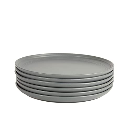 Double Line 10.5" Dinner Plate, Set of 6, Matte Gray - color: Matte Gray, size: Dinner Plate