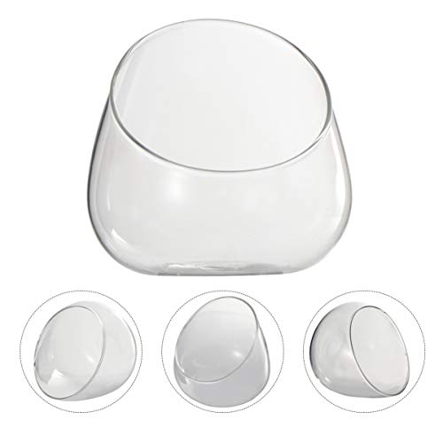 Cabilock Clear Slant Cut Bubble Bowl Glass Vase Bowl Round Globe Planter Terrarium Orb Candy Dish Fruit Jar Floral Container for Home Office Decor