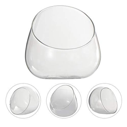 Cabilock Clear Slant Cut Bubble Bowl Glass Vase Bowl Round Globe Planter Terrarium Orb Candy Dish Fruit Jar Floral Container for Home Office Decor