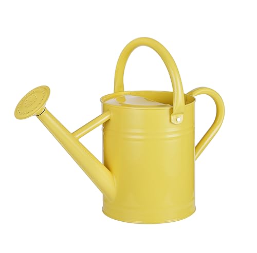 1 Gallon Watering Can for Plants, Watering Cans for Indoor&Outdoor Gardening, Galvanized Steel Watering Pot with Removable Spout, Metal Water Can with Ergonomic Movable Handle(Cute Yellow) - color: Cute Yellow