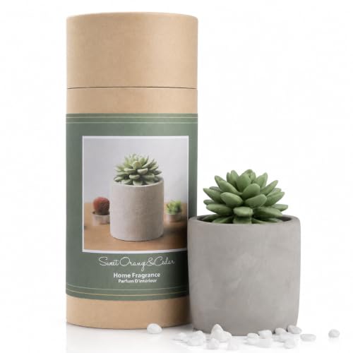 Reed Diffuser Set, 3.38 fl oz/100 ml Succulent Ceramic Fragrance Diffuser Vase Set, Home Fragrance Reed Diffuser for Bathroom Office Living Room Decor (Sweet Orange Cedar) - color: Sweet Orange Cedar