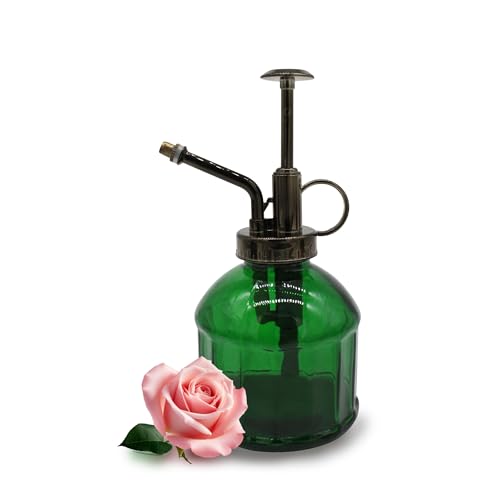 Glass Plant Mister Spray Bottle, 200ML Vintage Plant Spritzer, Succulent Watering Bottle Glass with Top Pump, Small Plants Sprayer Watering Can for Indoor Outdoor House(Green) - color: Green