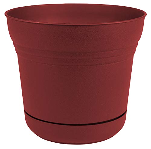 Bloem SP0513 Saturn Planter w/Saucer 5" Burnt Red, 5" - color: Burnt Red, size: 5"