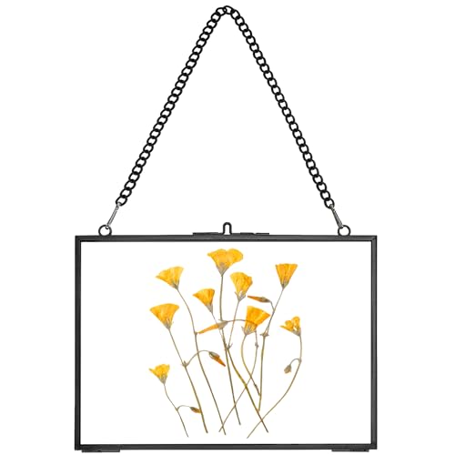 REDHUGO Hanging Pressed Flower Frame Handmade, Black, 5×7 inches | Double Glass Picture Frame Floater frame Floating Frame for Pressed Flowers Home Wall Artwork, Rectangle Horizontal - color: Black, size: 7L" x 5W"