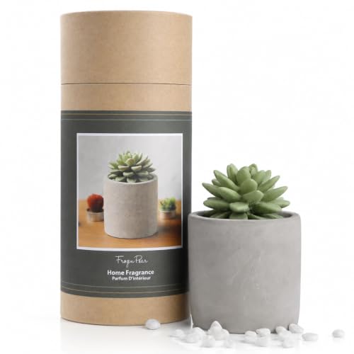 Reed Diffuser Set, Pretty Valley Home Succulent Gypsum Ceramic Fragrance Diffuser Vase Set - Frozen Pear 3.38 fl oz (100 ml), Home Fragrance Reed Diffuser for Bathroom Office Living Room Decor - color: Frozen Pear
