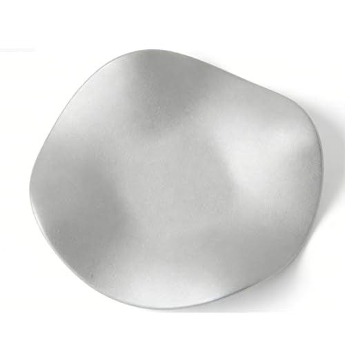 Brrnoo Minimalist Frosted Ceramic Dish – Irregular Shaped Jewelry Tray for Rings, Earrings & Trinkets, 6.7" Decorative Catchall Dish (Silver) - size: Silver