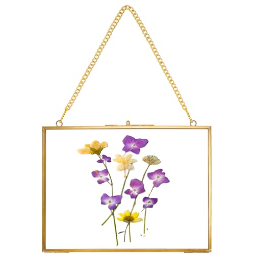 REDHUGO Hanging Pressed Flower Frame Handmade, Gold, 6×8 inches | Double Glass Picture Frame Floater frame Floating Frame for Pressed Flowers Home Wall Artwork, Rectangle Horizontal - color: Gold, size: 8L" x 6W"