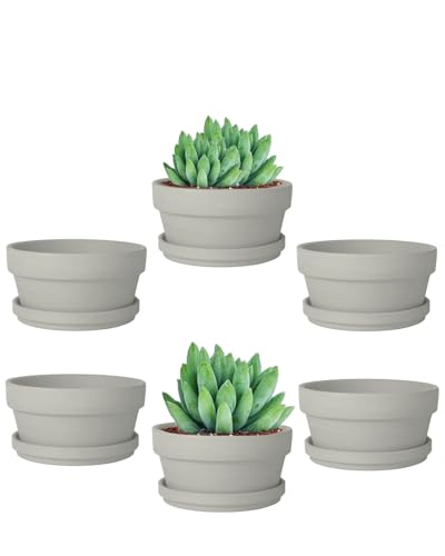 4.5 Inch Grey Terracotta Shallow Succulent Pots - 6 Pack Terra Cotta Clay Pot with Saucer, Cacuts Indoor and Outdoor Planters with Drainage Hole - color: Gray, size: 4.5 Inch