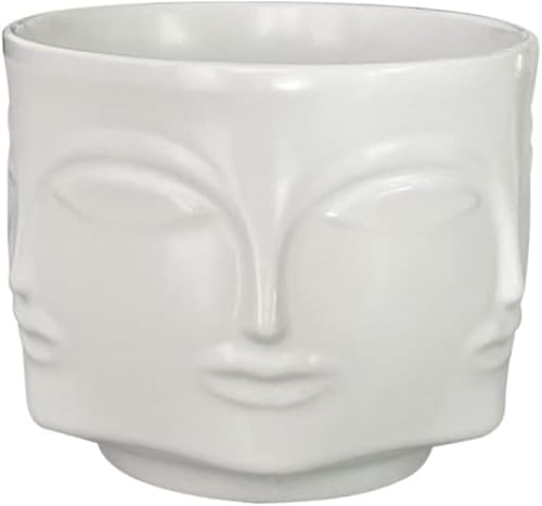 Face-Shaped Vase Ceramic Planter Head Face Modern Indoor Flowers Plant Pot Creative Human Face Statue Decoration Flower Pot Bedroom Living Room Office (White) - color: White