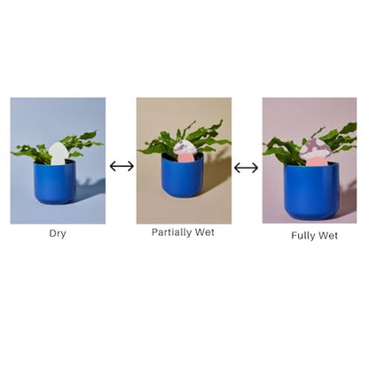 Paper-Based Soil Moisture Meter for Houseplants – Know When to Water, Prevent Overwatering – 5 Pack (PlantDoc Monstera) - style: Monstera PlantDoc - 5 Pack