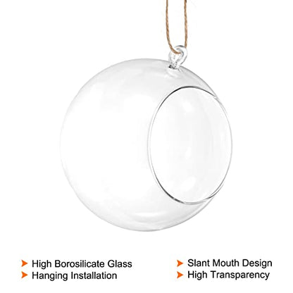 PATIKIL Round Globe Terrarium Air Plant Planter, 6.3 Inch High Borosilicate Glass Hanging Decorations for Succulent, Tillandsia, Clear - size: 6.3 Inch