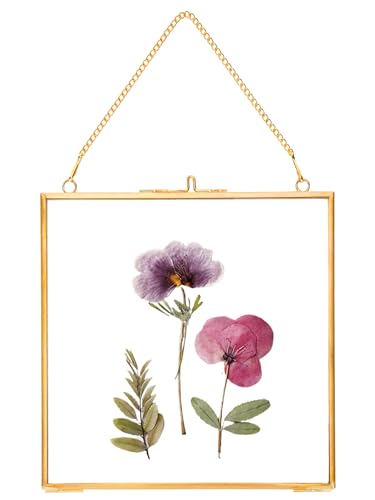 REDHUGO Glass Pressed Flower Frames, Square, Gold, 6x6 Inches | Vintage Hanging Picture Frames with Chain, Handmade Brass Floating Frame, Plant Specimen Wall Display DIY Family Photo - color: Gold, size: 6L" x 6W"