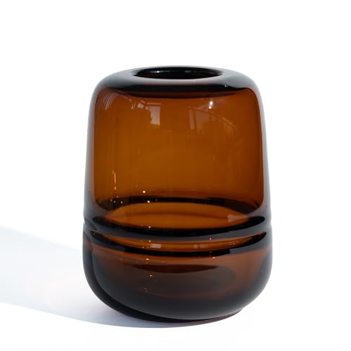 Relexome Amber Glass Flower Vase for Centerpieces Flowers 6.7 Inch Round Modern Glass Bud Vase Decorative Vases for Home Decor, Living Room, Dining Table, Entryway, Shelf, Office - color: Amber