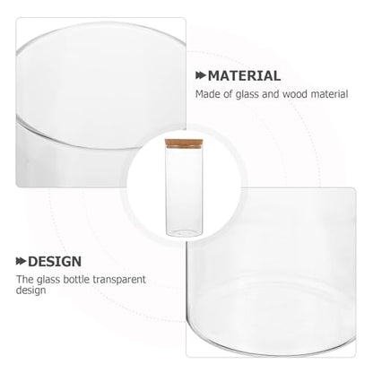 Hydroponic Plant Bottle, 8.21x3.34in Plant Vase Micro Landscape Bottle, Hydroponic Vase Empty Glass, Water Flower Pot Container with Cork (Hole Diameter 3cm) (Pack of 2) - size: 20X8.5CM (Pack of 2)