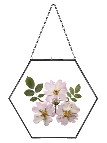 REDHUGO Glass Pressed Flower Frame Handmade, Hexagon, Black | Double Glass, Brass Floating Picture Frames, Wall Hanging Round Picture, for Dried Flowers Home Wall Decor (FRAME ONLY) - color: Black, size: 10L" x 11.8W"