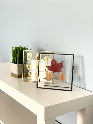 Beedecor Double Glass Frame for Pressed Flowers, Leaf and Artwork Set of 3 Pressed Flower Frames with Stand - 6x6, 5x7 and 6x8 Gold Standing Square Metal Picture Frames, Tabletop Clear Floating Pressed Glass Frame, Home Decor Photo Display (Gold, Set of 3