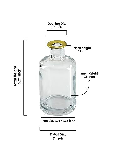 Serene Spaces Living Set of 6 Bud Vases with Gold Tip, Tealight, Pillar Holder, Decorative Vase, Ideal for Wedding, Birthday, Thanksgiving, Christmas - size: Set of 6
