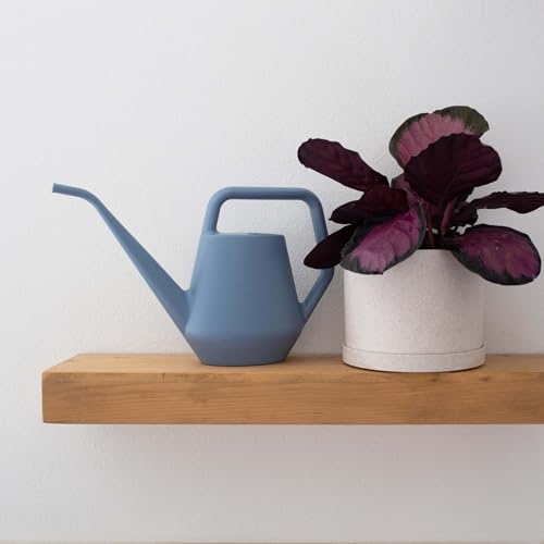 Bloem Mathers 6" Plastic Planter - Modern Indoor Pot with Drainage Holes and Saucer Tray, Vanilla Bean - color: Vanilla Bean, size: 6 "