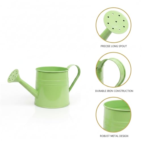 Long Spout Iron Watering Can for Indoor & Outdoor Plants, Durable Metal Design with Precise Flow Control (1 Pack) - color: Green