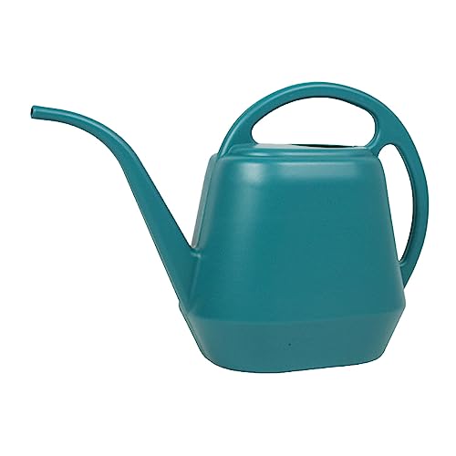 1 Gallon Watering Can Indoor Plants, 2026 Long Spout Large Capacity Modern Plastic Watering Can with Ergonomic Handle,Outdoor Watering Can for Flower Plants House Bonsai Garden Patio Office - color: F