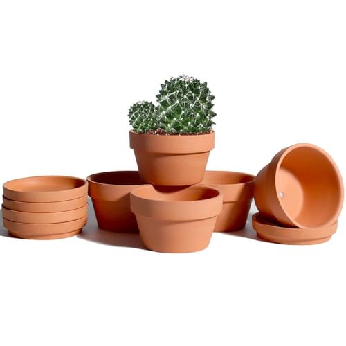 5.7 Inch Terracotta Shallow Succulent Pot - 6 Pack Terra Cotta Clay Pots with Saucer, Cacuts Terra-Cotta Indoor and Outdoor Planters with Drainage Hole - color: Brown, size: 5.7 Inch