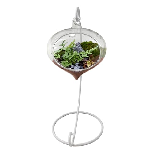 Glass Terrarium with White Metal 9" Stand – Hanging Air Plant Holder, Succulent Planter, Desktop Geometric Terrarium Decor for Home, Office, or Gift